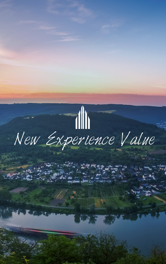 New Experience Value