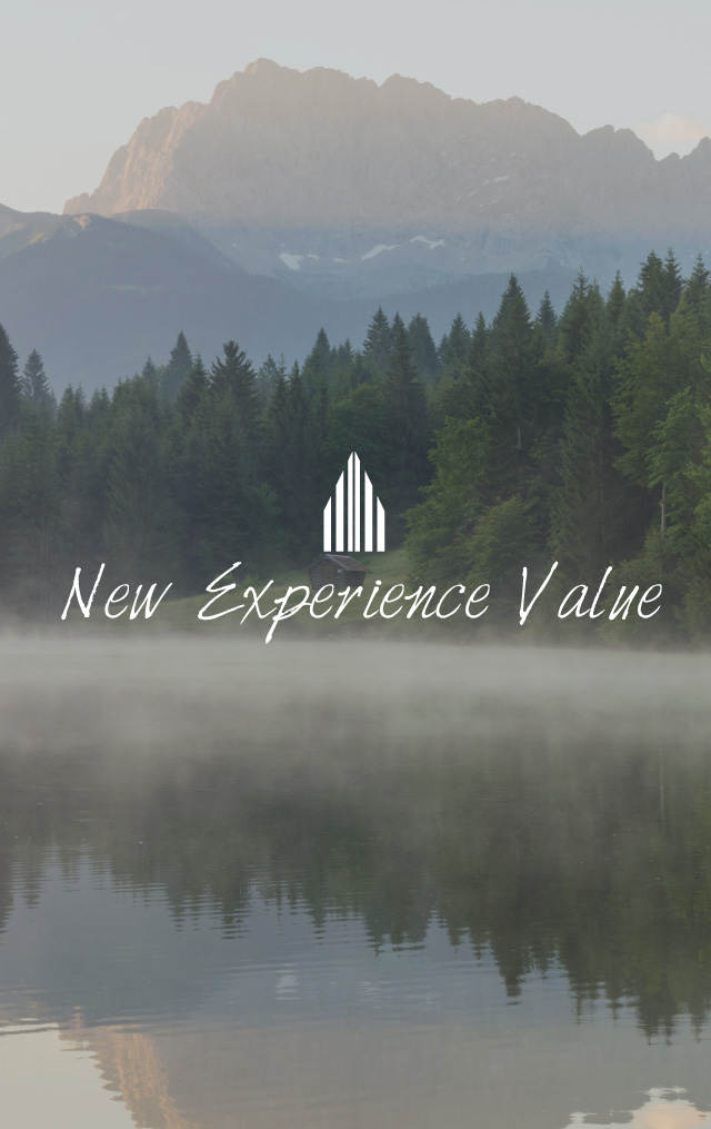 New Experience Value